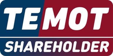 TEMOT International Autoparts — Pitzo is a shareholder